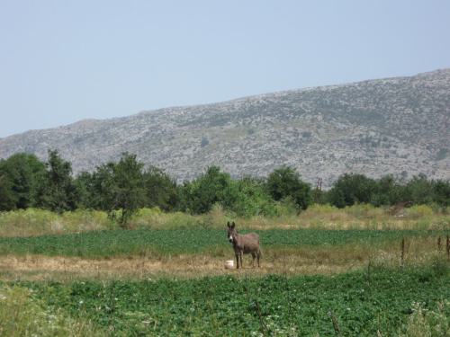 Kreta-2010-0010